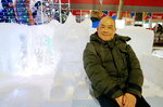 09022025_Sony Alpha 7 II_29th round to Hokkaido_Susukino Ice Sculptures00025