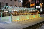 09022025_Sony Alpha 7 II_29th round to Hokkaido_Susukino Ice Sculptures00033