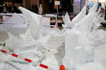 09022025_Sony Alpha 7 II_29th round to Hokkaido_Susukino Ice Sculptures00037