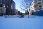 10022025_Sony Alpha 7 II_29th round to Hokkaido_Susukino Morning_Nijo Ichiba00047