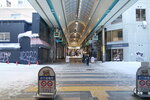 10022025_Sony Alpha 7 II_29th round to Hokkaido_Susukino Morning_Tanuki Koji00038