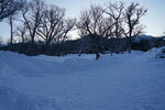12022025_Sony Alpha 7 II_29th round to Hokkaido_Shiretoko Morning00001