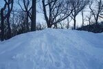 12022025_Sony Alpha 7 II_29th round to Hokkaido_Shiretoko Morning00002