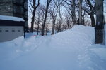 12022025_Sony Alpha 7 II_29th round to Hokkaido_Shiretoko Morning00004