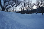12022025_Sony Alpha 7 II_29th round to Hokkaido_Shiretoko Morning00005