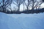 12022025_Sony Alpha 7 II_29th round to Hokkaido_Shiretoko Morning00007