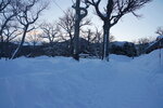 12022025_Sony Alpha 7 II_29th round to Hokkaido_Shiretoko Morning00009