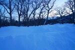12022025_Sony Alpha 7 II_29th round to Hokkaido_Shiretoko Morning00010
