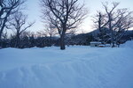 12022025_Sony Alpha 7 II_29th round to Hokkaido_Shiretoko Morning00011