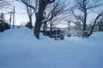 12022025_Sony Alpha 7 II_29th round to Hokkaido_Shiretoko Morning00014