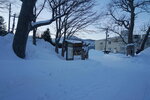 12022025_Sony Alpha 7 II_29th round to Hokkaido_Shiretoko Morning00015