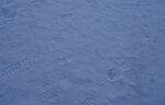 12022025_Sony Alpha 7 II_29th round to Hokkaido_Shiretoko Morning00016