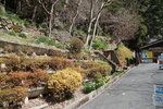 18032024_Sony A7 II_Journey to Tohoku_Ibaraki Prefecture_Fukuroda no Taki00032