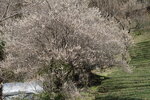 18032024_Sony A7 II_Journey to Tohoku_Ibaraki Prefecture_Fukuroda no Taki00045