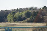 18032024_Sony A7 II_Journey to Tohoku_Mito Morning00068