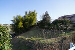 18032024_Sony A7 II_Journey to Tohoku_Mito Morning00075