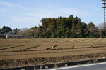 18032024_Sony A7 II_Journey to Tohoku_Mito Morning00081