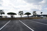 19032024_Sony A7 II_Journey to Tohoku_Matsushima00007