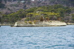 19032024_Sony A7 II_Journey to Tohoku_Matsushima_Shima Meguri00021