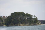19032024_Sony A7 II_Journey to Tohoku_Matsushima_Shima Meguri00030
