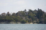 19032024_Sony A7 II_Journey to Tohoku_Matsushima_Shima Meguri00032