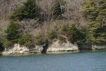 19032024_Sony A7 II_Journey to Tohoku_Matsushima_Shima Meguri00040