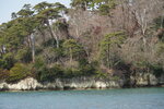19032024_Sony A7 II_Journey to Tohoku_Matsushima_Shima Meguri00041