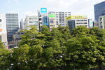 19032024_Sony A7 II_Journey to Tohoku_Sendai Morning00035