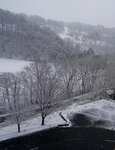 20032024_Sony A7 II_Journey to Tohoku_Hotel Mori no Kaze Morning00005