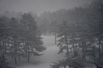 20032024_Sony A7 II_Journey to Tohoku_Hotel Mori no Kaze Morning00008