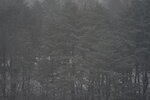 20032024_Sony A7 II_Journey to Tohoku_Hotel Mori no Kaze Morning00009