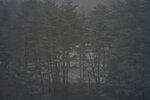 20032024_Sony A7 II_Journey to Tohoku_Hotel Mori no Kaze Morning00010
