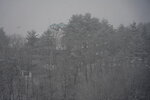 20032024_Sony A7 II_Journey to Tohoku_Hotel Mori no Kaze Morning00017