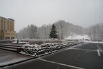 20032024_Sony A7 II_Journey to Tohoku_Hotel Mori no Kaze Morning00021