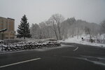20032024_Sony A7 II_Journey to Tohoku_Hotel Mori no Kaze Morning00025