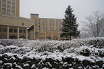 20032024_Sony A7 II_Journey to Tohoku_Hotel Mori no Kaze Morning00034