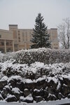 20032024_Sony A7 II_Journey to Tohoku_Hotel Mori no Kaze Morning00035