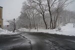 20032024_Sony A7 II_Journey to Tohoku_Hotel Mori no Kaze Morning00036