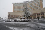 20032024_Sony A7 II_Journey to Tohoku_Hotel Mori no Kaze Morning00040