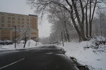 20032024_Sony A7 II_Journey to Tohoku_Hotel Mori no Kaze Morning00042