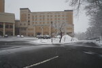 20032024_Sony A7 II_Journey to Tohoku_Hotel Mori no Kaze Morning00043