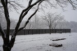 20032024_Sony A7 II_Journey to Tohoku_Hotel Mori no Kaze Morning00048