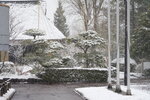 20032024_Sony A7 II_Journey to Tohoku_Iwate_Morioka Tezukurimura00007