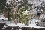 20032024_Sony A7 II_Journey to Tohoku_Iwate_Morioka Tezukurimura00049