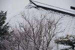 20032024_Sony A7 II_Journey to Tohoku_Iwate_Morioka Tezukurimura00051