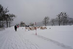 20032024_Sony A7 II_Journey to Tohoku_Towadako00004