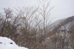 20032024_Sony A7 II_Journey to Tohoku_Way to Towadoko00002