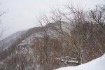 20032024_Sony A7 II_Journey to Tohoku_Way to Towadoko00003