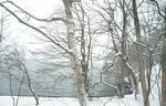 20032024_Sony A7 II_Journey to Tohoku_Way to Towadoko00010