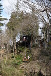 22032024_Sony A7 II_Journey to Tohoku_Iwate Gembikei00018